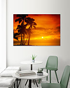 Obraz Horúce slnko za palmami 1389